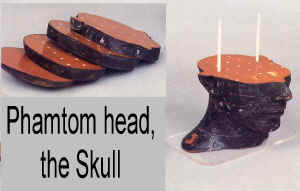 1989 skull 03.jpg (74801 octets)